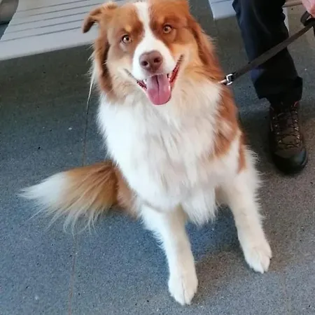 Steger Klara * Mittersill